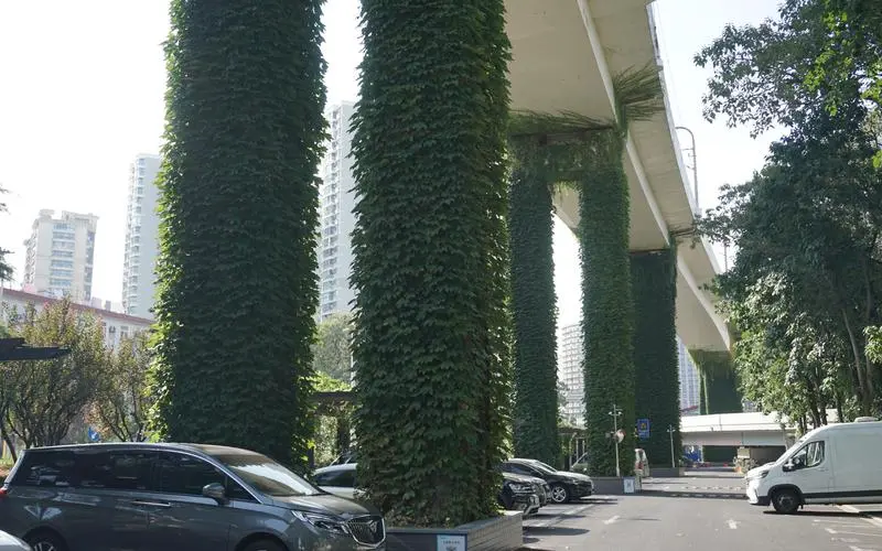 同江城市綠化養護質量標準