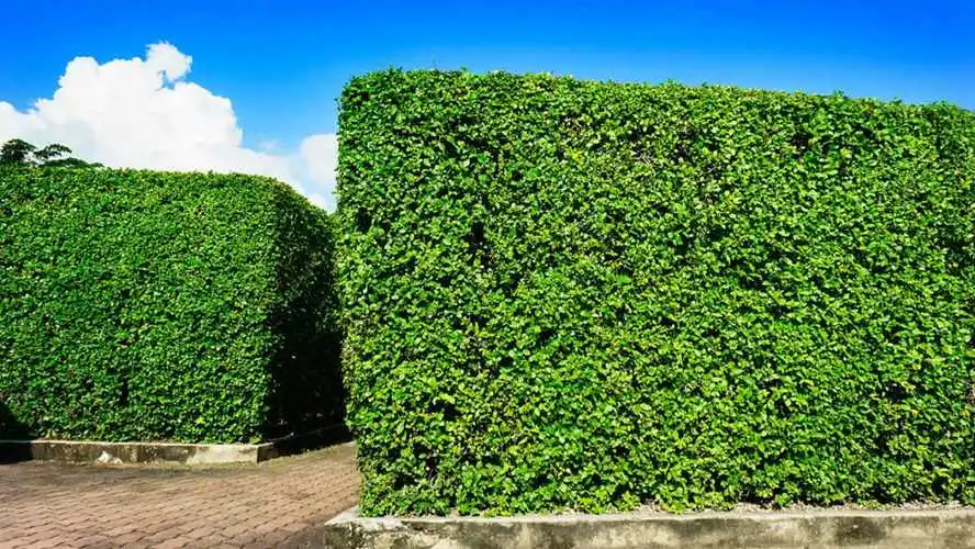 30平米的園林景觀設計