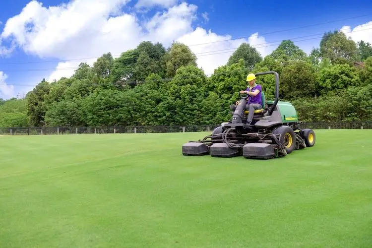 “世界野生動植物日”宣傳活動在廣州舉行 加大物種保護投入 加快資源檔案建設