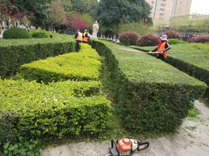廣州園林綠化工程合同